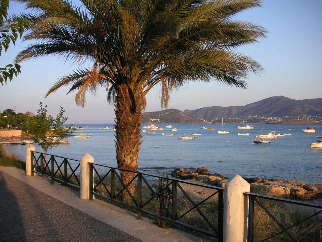 The Mirador Boutique Villa With Scenic Sea View Porto Rafti Luaran gambar